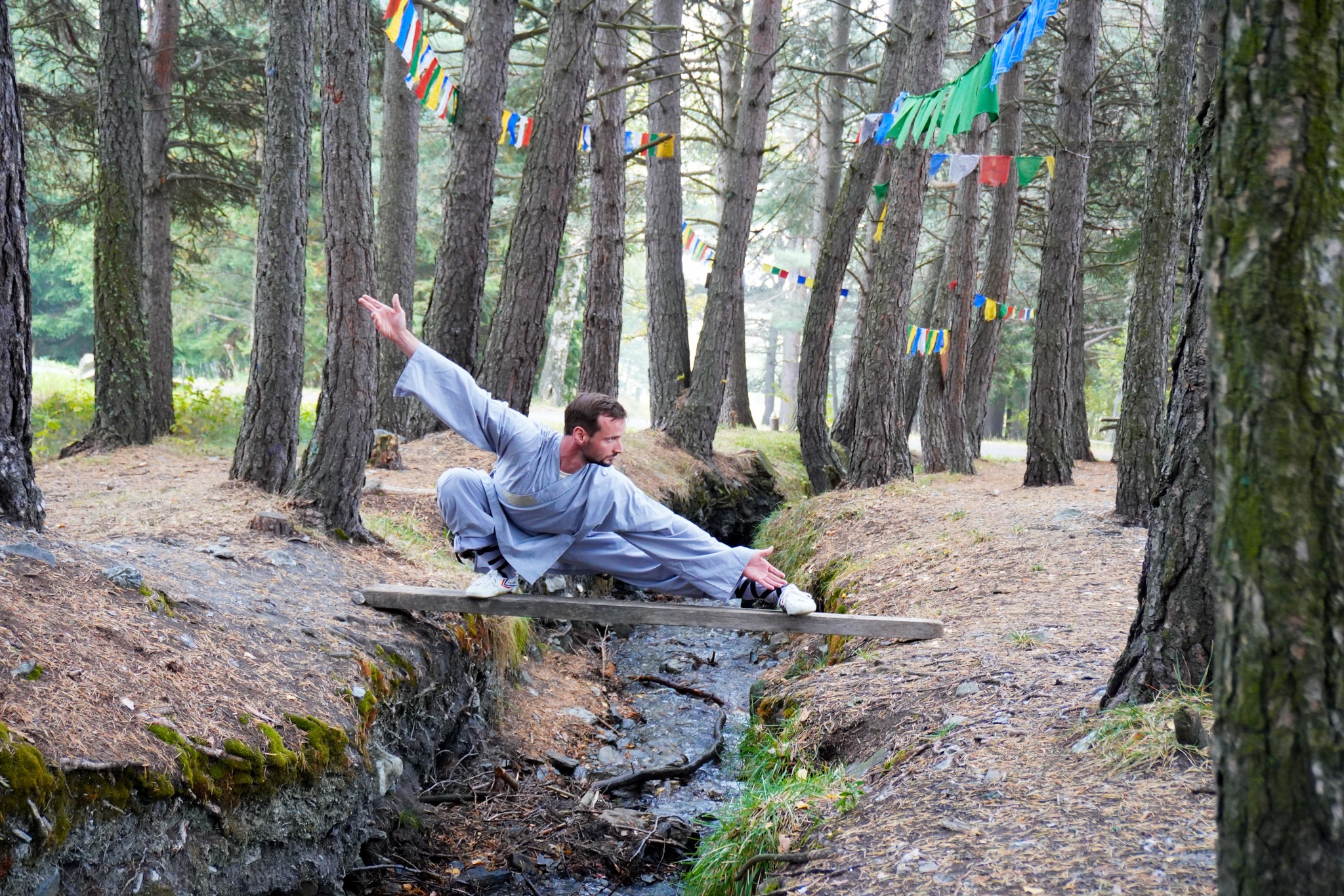 Kung-Fu-Übung auf einer Holzbrücke im Wald